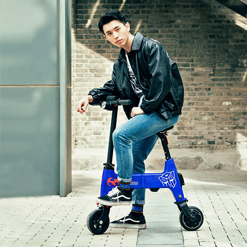 HIMO Transformers Folding Bike Gray